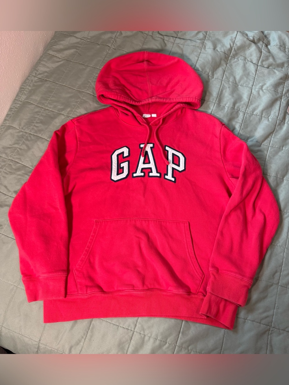 Gap Hoodie
